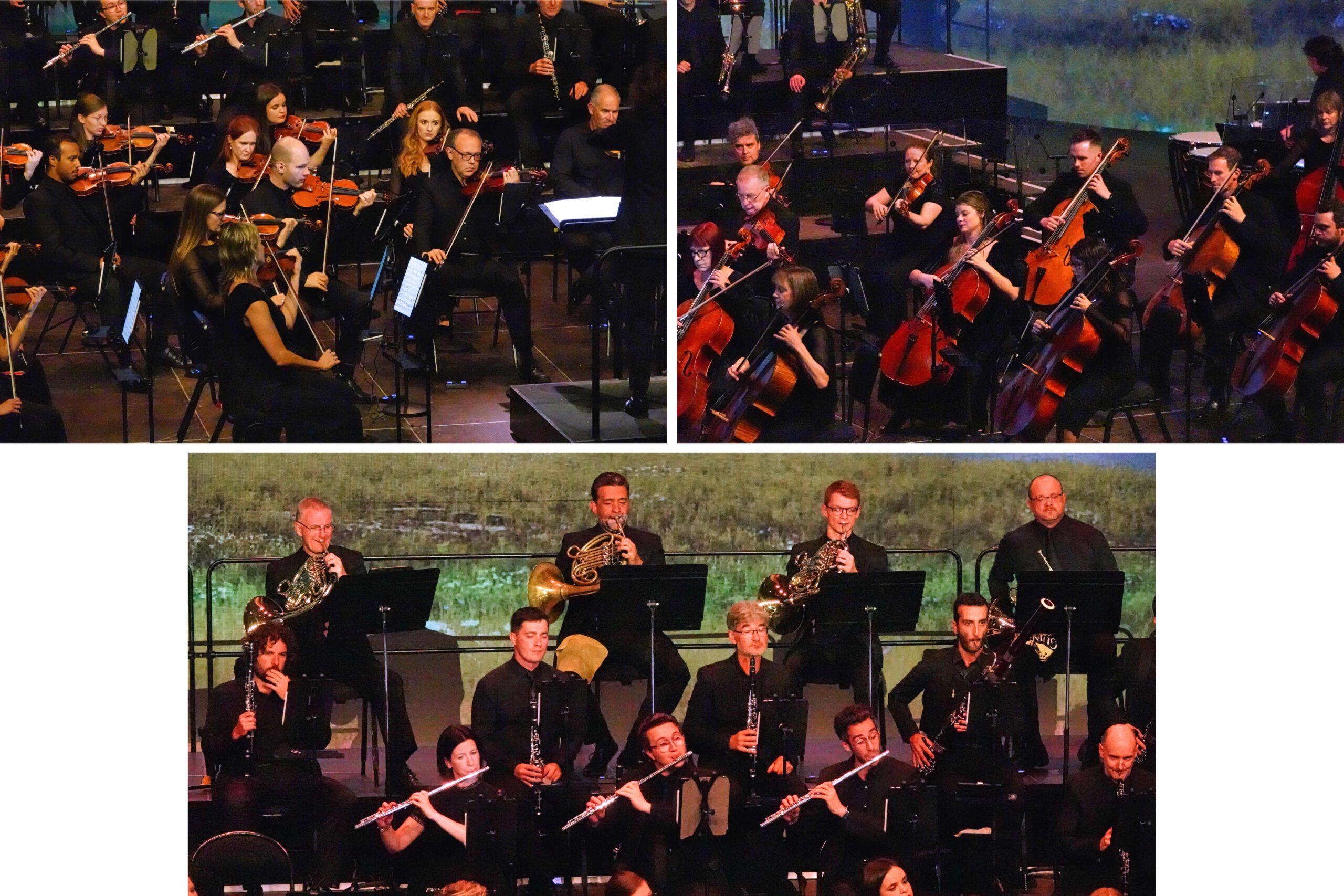 Ulster Orchestra at Festival Berlioz – in pictures